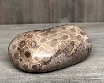 Grade A Polished Petoskey Stone - 5.7 oz - Polished Petoskey Stone - Michigan Gift - Michigan Fossil - Sunbeams of Promise