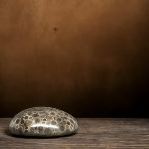 Petoskey Stone Printable Wall Art - Digital Download
