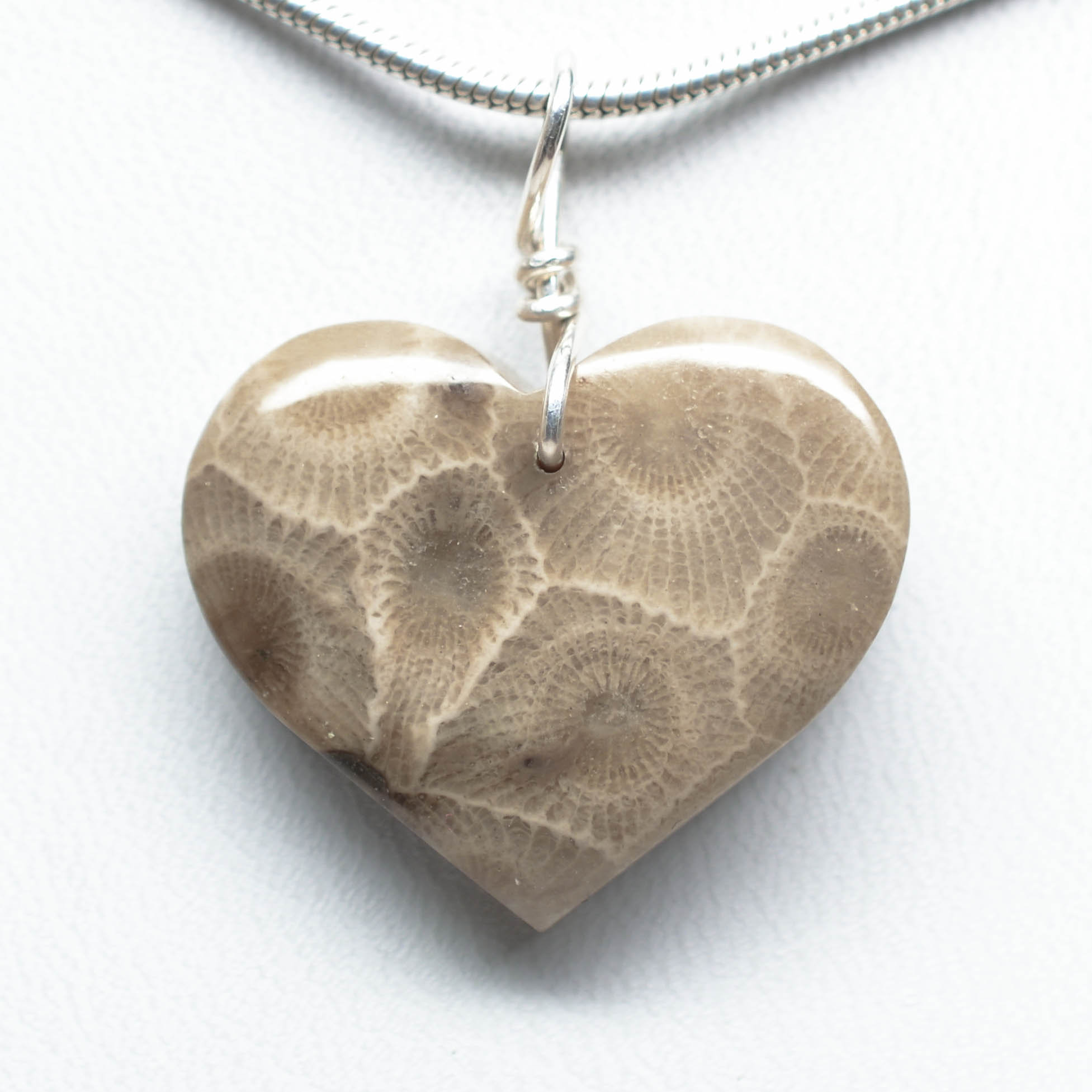 Petoskey Stone Heart Pendant