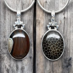 Reversible Beauty: Lake Superior Agate and Petoskey Stone Sterling Silver Pendant