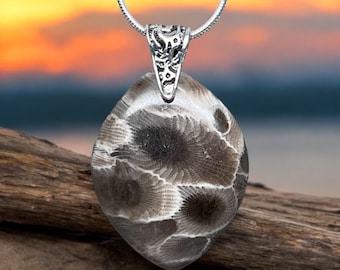 Elegancia y sencillez: colgante de piedra Petoskey con enganche de plata de ley.