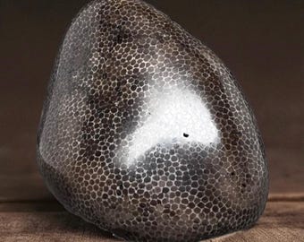 Grade A Polished Charlevoix Stone - 7.8 oz - Polished Petoskey Stone - Michigan Gift - Michigan Fossil - Sunbeams of Promise