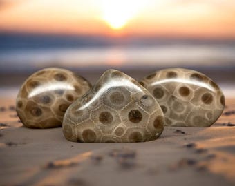 Polished Petoskey Stone - Grade A - Collector&#39;s Specimen - Various Sizes Available - Polished to Perfection - Choose Your Unique Treasure