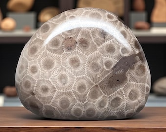 Piedra Petoskey pulida: fósil de Michigan, calidad A - 127 g