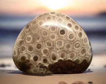 Grade A Polished Petoskey Stone - 8.2 Ounces - Polished Petoskey Stone - Michigan Gift - Michigan Fossil - Sunbeams of Promise