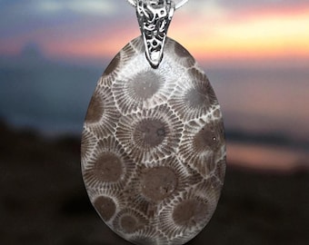 Elegancia y sencillez: colgante de piedra Petoskey con enganche de plata de ley.