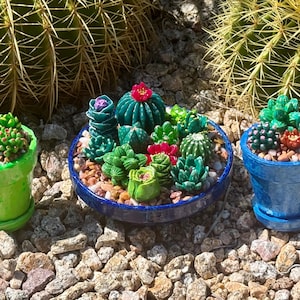 May include: Three small, colourful, potted succulent arrangements. The pots are painted green, blue, and a darker blue. The succulents are various shades of green, with red and purple accents. The arrangements sit on a bed of small rocks.