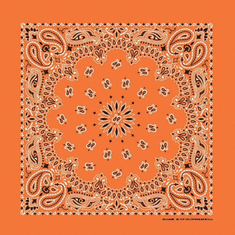 thumbnail image 2 of USA Made Hav-A-Hank Burnt Orange Paisley Bandana – 22x22 Cotton – Face Mask, Neck Scarf, Head Wrap – Unisex 2 of 6
