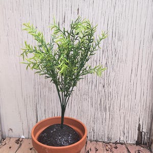 Large Resident Evil Herbs Home Decor