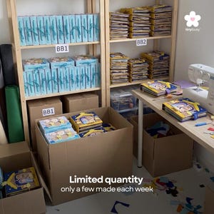 Pu&ograve; includere: Scaffali in legno pieni di scatole e libri. Alcune scatole sono azzurre con nastri, altre di cartone. Libri con copertine colorate sono in scatole e su un tavolo. Il testo "Limited quantity only a few made each week" &egrave; visibile.