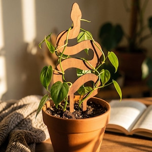 Slangvormig klimrek, klimrek voor sansevieria's, houten klimrek in slangenvorm, decoratief plantenrek, steun voor kamerplanten, steun voor klimplanten