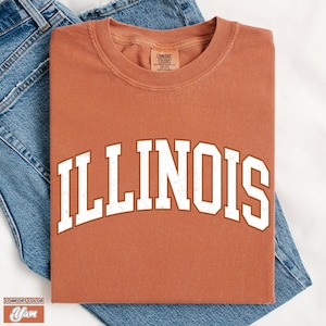 Comfort Colors Retro Illinois T-Shirt: Vintage Travel Souvenir
