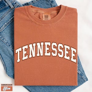 Comfort Colors Tennessee Shirt: Vintage Game Day Crewneck