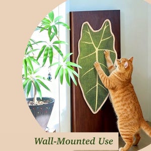May include: A green leaf-shaped cat scratcher is mounted on a wooden door. The scratcher has a beige border and a cat is shown using it. The text "Wall-Mounted Use" is at the bottom of the image.