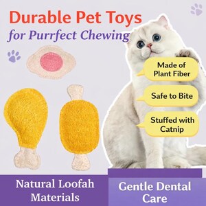 May include: Image of durable pet toys for chewing. The toys are made of natural loofah materials and stuffed with catnip. The toys are safe to bite and promote gentle dental care. The image also features a white cat.