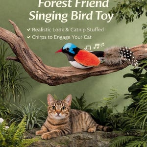 Op de afbeelding: Een kattenspeeltje met een kleurrijke vogel op een tak, met de tekst "Forest Friend Singing Bird Toy". De vogel heeft blauwe, rode en witte veren. Een tabby kat ligt eronder. Het speelgoed is gevuld met kattenkruid en tjilpt.