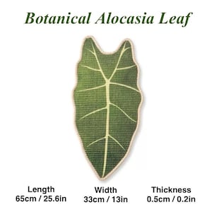 May include: A green Alocasia leaf-shaped item with white veins and a beige border. The text "Botanical Alocasia Leaf" is at the top. The item is 25.6 inches long, 13 inches wide, and 0.2 inches thick.