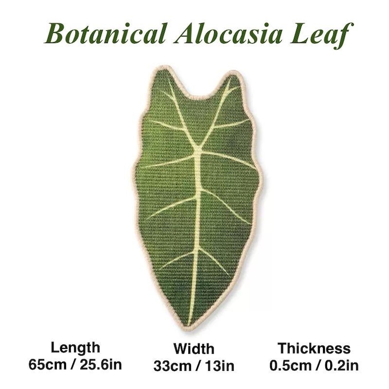 May include: A green Alocasia leaf-shaped item with white veins and a beige border. The text "Botanical Alocasia Leaf" is at the top. The item is 25.6 inches long, 13 inches wide, and 0.2 inches thick.