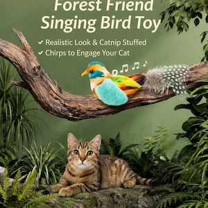 Op de afbeelding: Een kleurrijk zingend vogel speelgoed, gevuld met kattenkruid, ontworpen om katten te vermaken. De tekst luidt "Forest Friend Singing Bird Toy". De afbeelding toont ook een tabby kat.