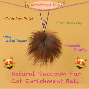 Op de afbeelding: Een bruine kattenverrijkingsbal van natuurlijk wasbeerbont, bevestigd met een metalen clip. De afbeelding bevat tekst: "Enrichment Toy", "Safety Loop Design", "Scent-Based Play", "Rich & Soft Texture", "Naturally Engaging", en "Natural Raccoon Fur Cat Enrichment Ball".