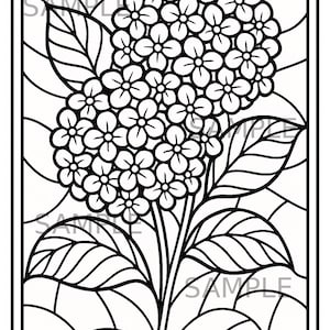 Op de afbeelding: Zwart-wit illustratie van een hortensia bloem met gedetailleerde bloemblaadjes en bladeren. De afbeelding is omlijst en bevat het woord "SAMPLE" op meerdere plaatsen. Het ontwerp is geschikt om in te kleuren of als decoratief element.