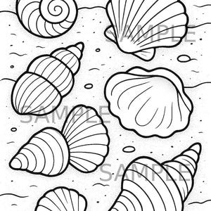Página para colorear de conchas marinas (PNG), arte lineal inspirado en el océano, descarga imprimible de dibujos digitales de vida marina, hoja para colorear relajante costera para adultos