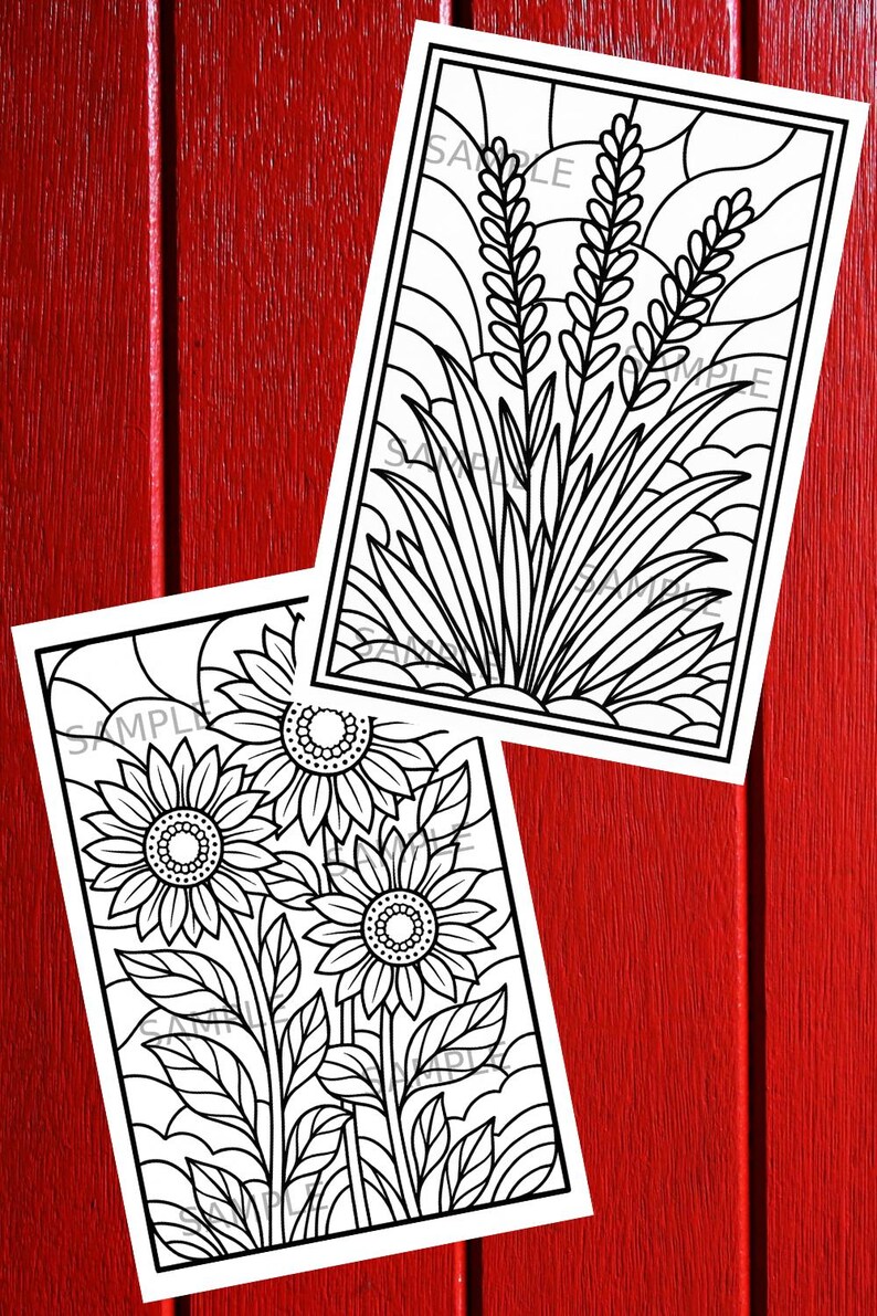 May include: Two black and white line art coloring pages featuring botanical illustrations. One depicts sunflowers, the other shows wheat. The pages are rectangular with a white border and are set against a red wooden background.