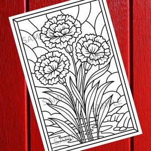 May include: Black and white floral line art print featuring three carnation flowers with detailed petals and leaves. The artwork is framed and set against a red wooden background. The word "SAMPLE" is visible.