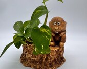Item uit deze shop