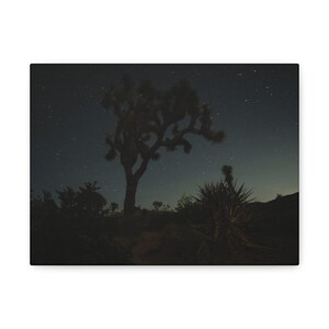 Matte Canvas Wall Art - Dreamy Desert Night - Starry Sky Decor, Nature Photography, Home Decor, Wall Decoration, Gift for Nature Lovers