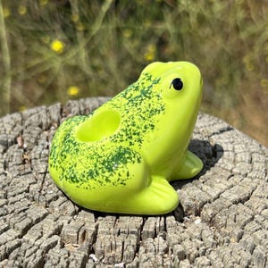May include: A ceramic frog figurine in bright lime green with darker green speckles. The frog has a large opening on its back and a black eye. It is sitting on a weathered wooden surface, with a blurred natural background.