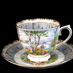 Royal Albert Silver Birch - Etsy