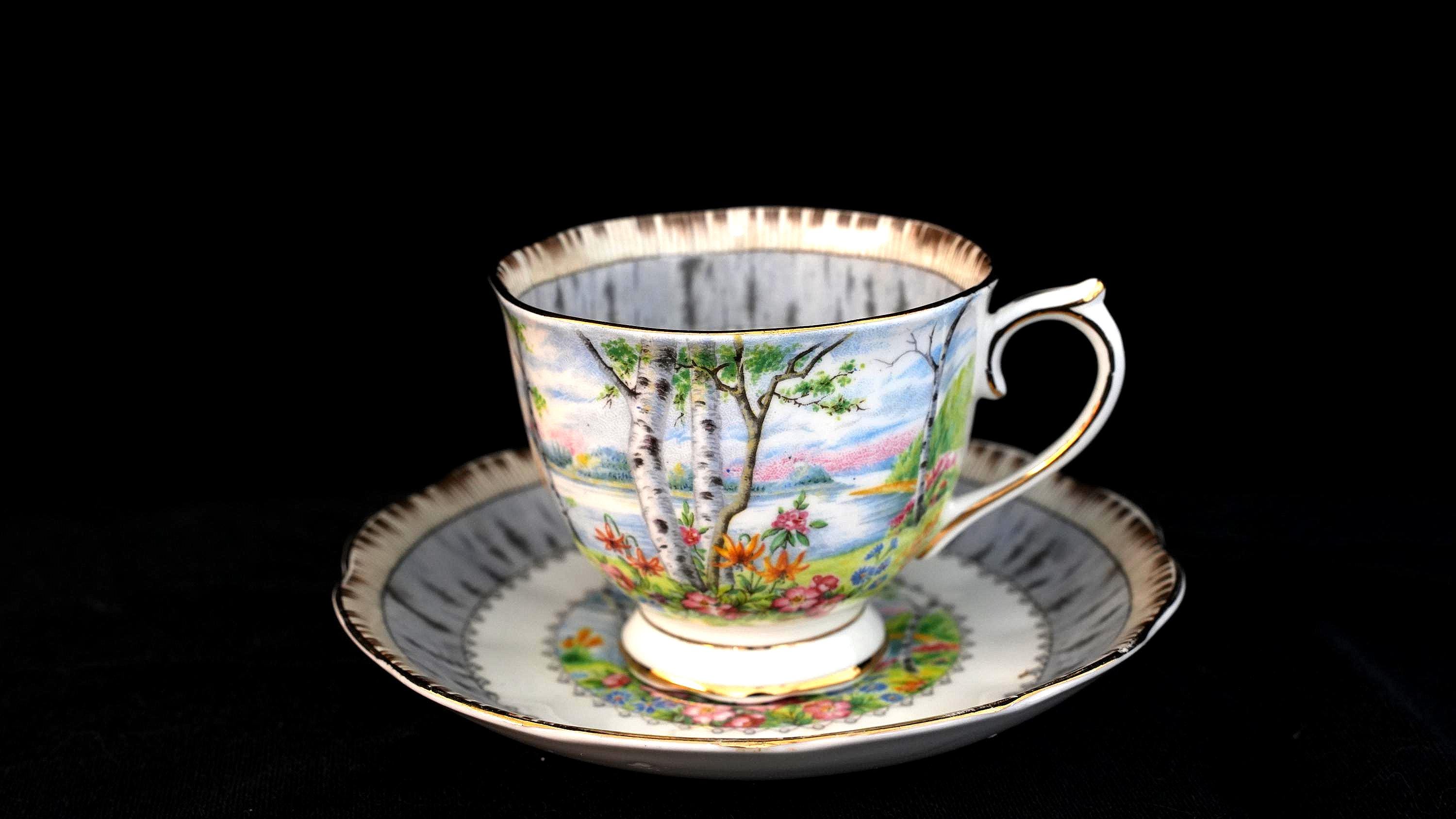Royal Albert Silver Birch - Etsy