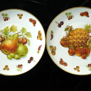 Set of 2 Vintage Winterling Bavaria Fruit Plates ( 7.75&#39;&#39;) – Pineapple & Pear Design – Made in Germany