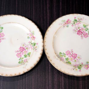Vintage Pink Floral Dessert Plates (6”) – Rocksville China Co. – Set of 2 – Gold Trim – Cottagecore Tableware USA
