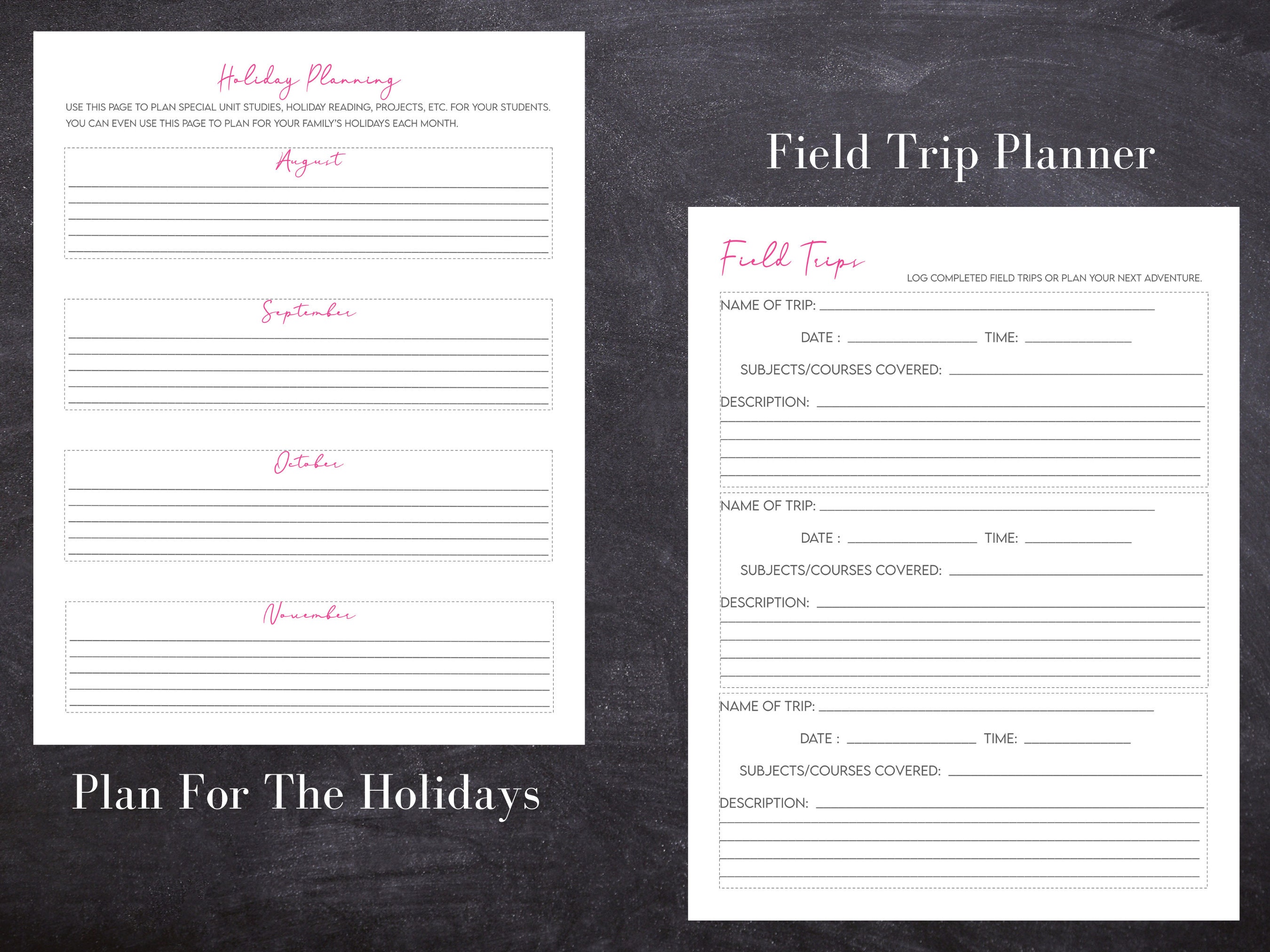 Homeschool Daily Planner Non-dated Printable Pink and Gray - Etsy
