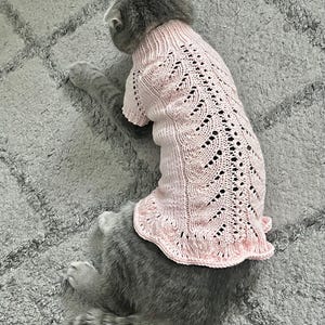 Cat/dog clothing, dress for pets