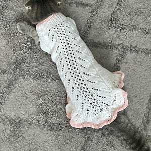 Cat/dog clothing, dress for pets