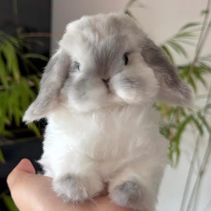 Handgemaakte chenille pijpreiniger konijn beeldje, realistisch konijn pluche | Poseerbare kunstpop