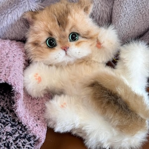 Handmade Pipe Cleaner Dollhouse Cat,Personalized Pet Plush Pet Memorial , Pipe CleanersDoll ,Pet Replica cat Plush, Soft Plush,Poseable Doll