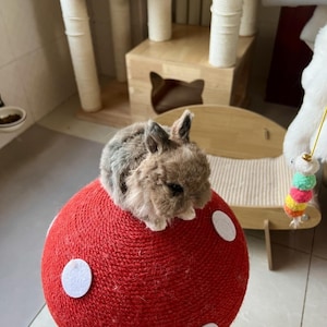 Handmade Rabbit Plush | Art Rabbit Doll | Realistic Rabbit Toy|Soft Cuddle Pillow|Home Decor|Gift for Rabbit Lovers | Poseable Rabbit Figure