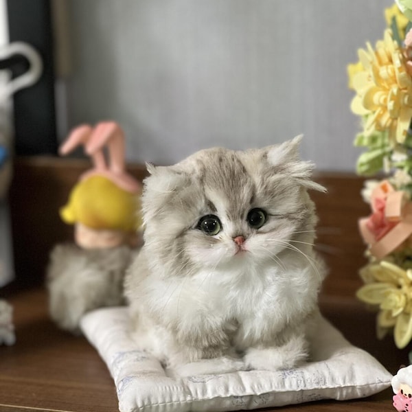 Peluche chat réaliste Etsy Canada — free download