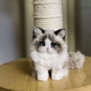 May include: A soft toy Ragdoll cat with blue eyes and a pink nose sits on a wooden surface. The cat has a white and grey coat and a fluffy tail. A cat scratching post is in the background.