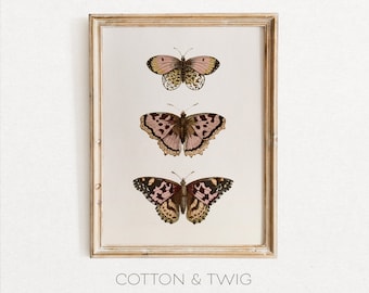 Printable Vintage Pale Pink Butterflies, Wall Art, Digital Print, Butterfly Print, Instant Download, Insect Art, Junk Journal Printable