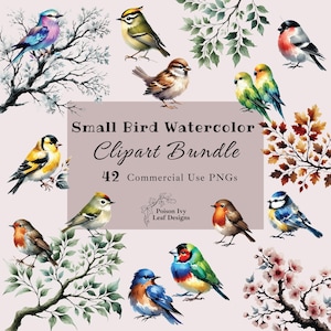 Small Birds Watercolor Clipart Bundle | 42 PNGs | Small Songbirds & Leaves | Commercial Use