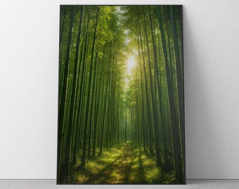 Jigsaw Puzzle for Adults Japan: Bamboo Forest, Japanese Landscape, Fun Puzzle
