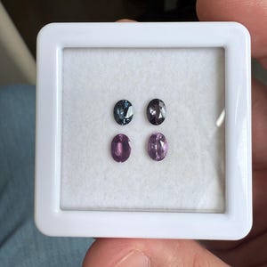 May include: Four oval-shaped gemstones in a white display case. Two are a deep teal color, and two are a vibrant purple. The gemstones are set against a white background, and the case is held by a hand.