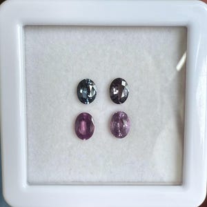 May include: Four oval-shaped gemstones in a white display case. Two are a deep teal color, and two are a vibrant magenta. The gems are set against a white background, and the case has a white frame.