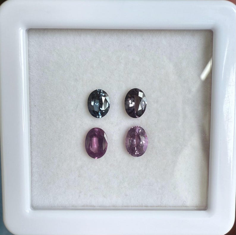 May include: Four oval-shaped gemstones in a white display case. Two are a deep teal color, and two are a vibrant magenta. The gems are set against a white background, and the case has a white frame.