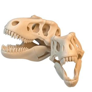 T. Rex Dinosaur Skull Replica – 3D Printed Fossil Decor | Prehistoric Desk Ornament | Realistic Tyrannosaurus Rex Skeleton Model |